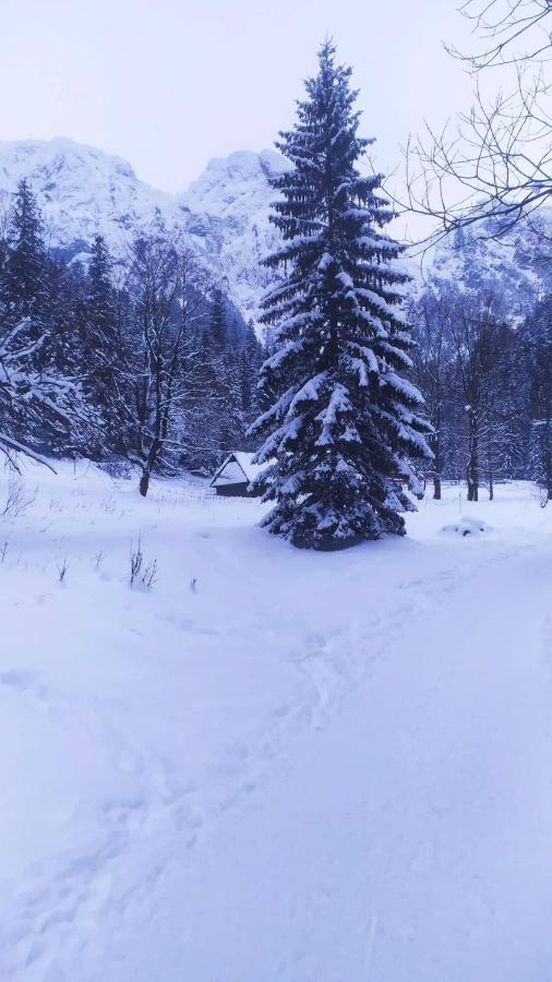 Pokoje Goscinne Przeklasa Pawel Закопане Экстерьер фото